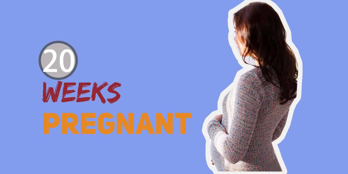 بارداری در هفته‌ی 20 دوران بارداری