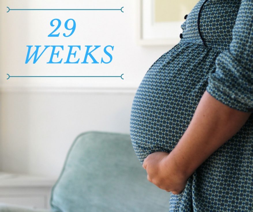 بارداری در هفته‌ی 29 دوران بارداری