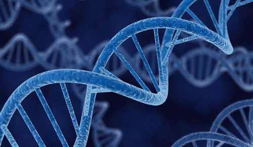 140 ژن عقب ماندگی ذهنی درکشور شناسایی شد