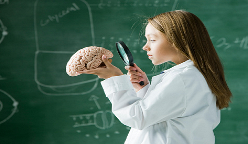 اندازه مغز و اختلال شناختی