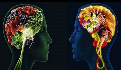 تاثیر مصرف سبزیجات در افزایش کارایی مغز