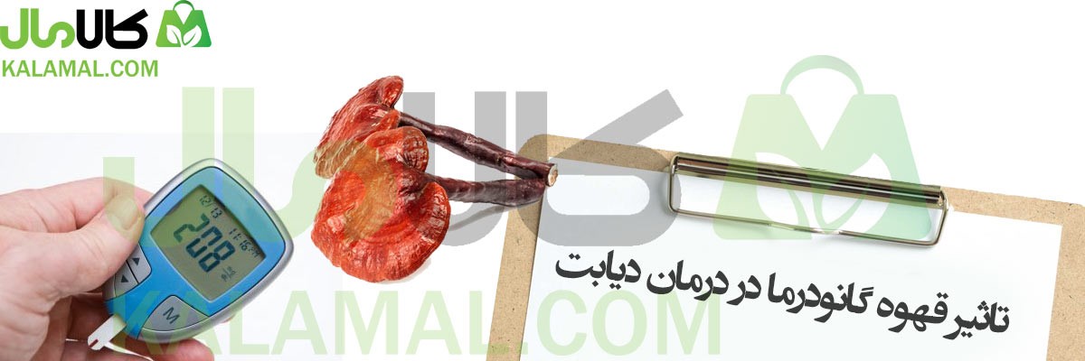 آیا قهوه گانودرما دیابت را درمان می‌کند؟ بررسی جامع علمی و کاربردی