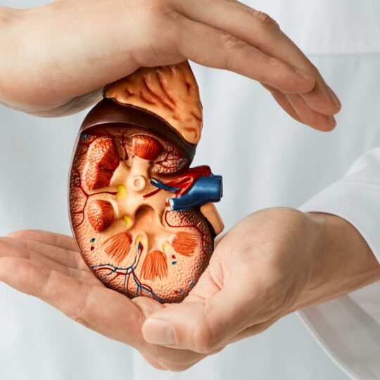 آیا کلیه‌ها با ما پیر می‌شوند؟