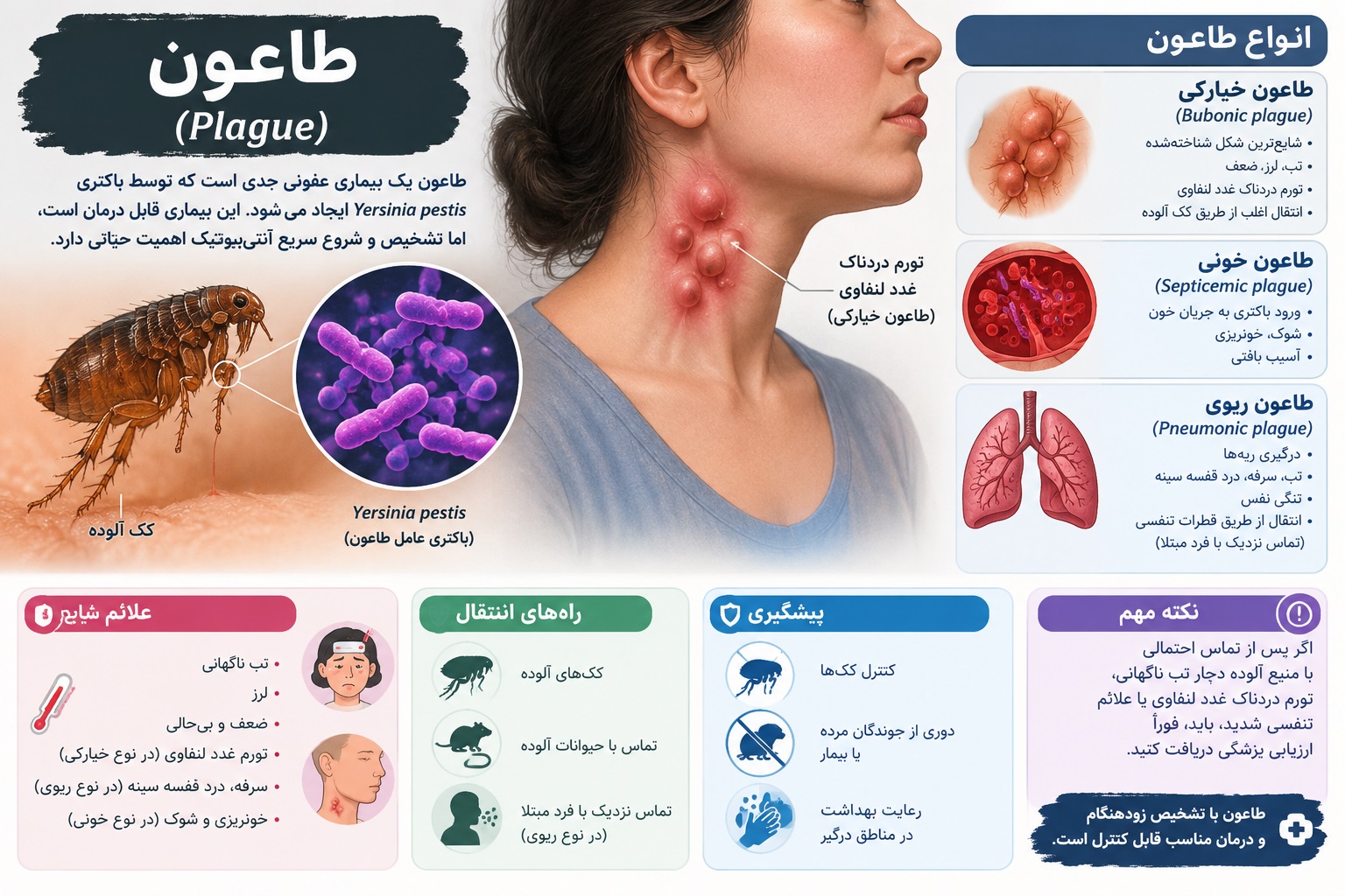 طاعون چیست و چگونه منتقل می‌شود؟ علائم، درمان و پیشگیری