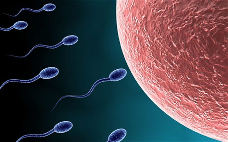 بهترین راه برای تولید اسپرم سالم چیست؟