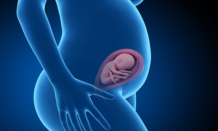 ‎ جنین از چه سنی در بدن مادر باردار حس می شود؟