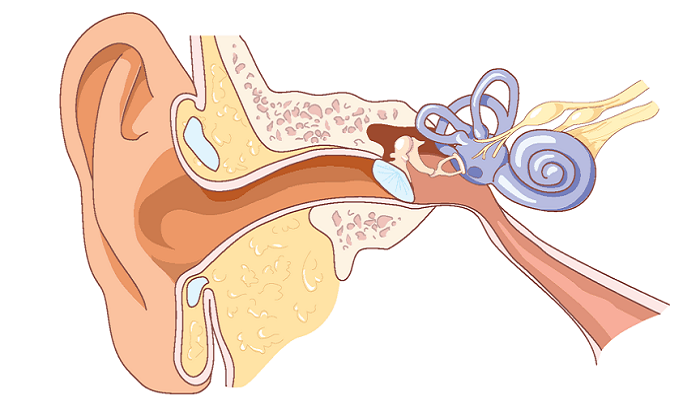 علائم و درمان عفونت گوش میانی