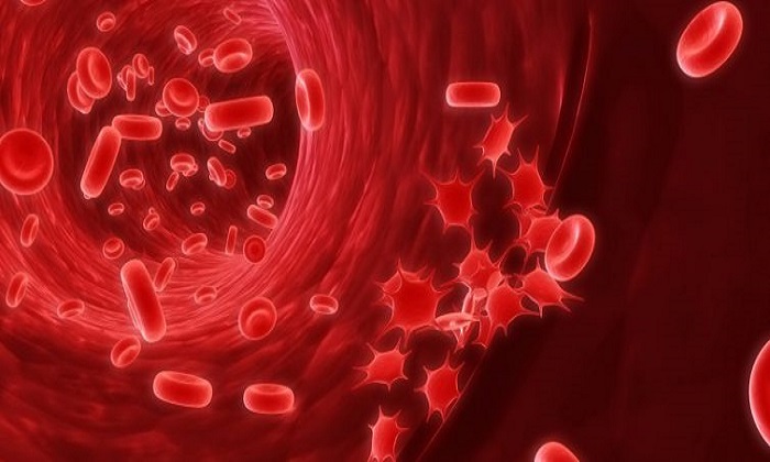 شمارش پلاکت های خون در آزمایش خون