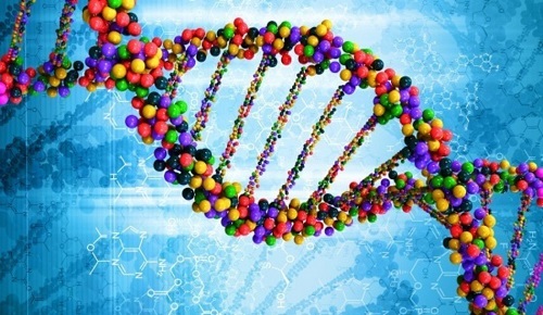 وجود لایه دوم اطلاعات در DNA تایید شد