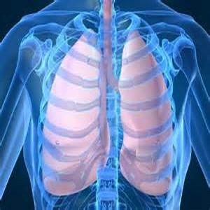 محاسبه گرهای سیستم تنفس و ریه