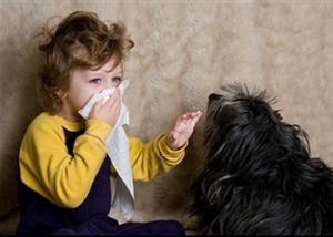 حیوانات خانگی مناسب برای کودکان مبتلا به آلرژی