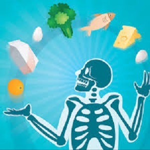 8 ماده غذایی مفید جهت حفظ سلامت استخوان